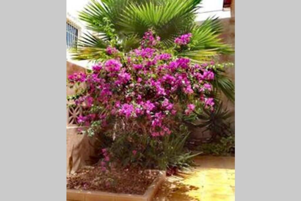 Semi-Detached Villa Sea Views, Huge Terrace, Close Beach Palm-mar Exteriör bild